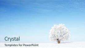  Presentation with land - Slides consisting of winter land - alone frozen tree in snowy background and a sky blue colored foreground