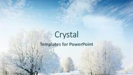 Presentation with winter blue - Cool new slides with winter land - frozen trees in field backdrop and a sky blue colored foreground