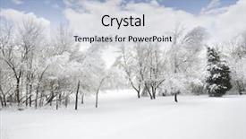 Presentation with winter storm - Slides featuring winter landscape after ice storm background and a light blue colored foreground