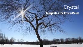  Presentation with winter landscape winter tree - Cool new presentation design with winter landscape and tree in evening sun light backdrop and a ocean colored foreground