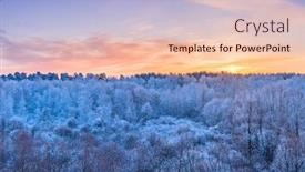  Presentation with forest morning - Beautiful theme featuring winter landscape - frosty trees in the forest in the sunny morning under blue sky backdrop and a lemonade colored foreground
