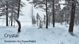 Presentation with snow blizzard in winter - Presentation theme enhanced with winter landscape in northern finland background and a  colored foreground