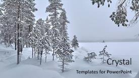  Presentation with snow blizzard in winter - PPT theme consisting of winter landscape in northern finland background and a light blue colored foreground