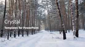 Presentation with pine forest - Audience pleasing presentation theme consisting of winter-landscape-in-pine-forest backdrop and a dark gray colored foreground
