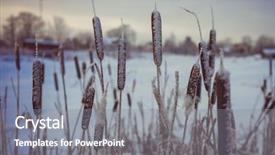  Presentation with swamp - Slide deck enhanced with winter landscape in russia cattail background and a gray colored foreground