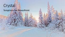  Presentation with winter forest - Colorful presentation enhanced with winter landscape in the forest backdrop and a light blue colored foreground