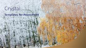  Presentation with czech republic - Audience pleasing PPT theme consisting of winter-landscape-moravia-region-czech backdrop and a sky blue colored foreground