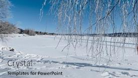  Presentation with frozen - 