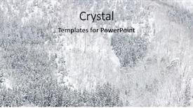  Presentation with pine forest - Cool new slides with winter landscape of pine forest backdrop and a light gray colored foreground