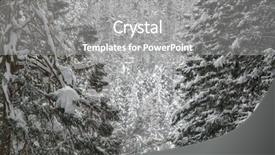  Presentation with pine forest - Presentation theme featuring winter landscape of pine forest background and a  colored foreground