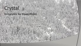  Presentation with pine forest - Colorful theme enhanced with winter landscape of pine forest backdrop and a light gray colored foreground