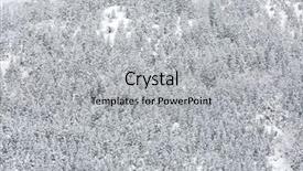  Presentation with pine forest - Theme featuring winter landscape of pine forest background and a light gray colored foreground