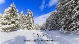  Presentation with snow covered trees and falling - Presentation theme with winter landscape snow-covered trees in swiss alps background and a light blue colored foreground