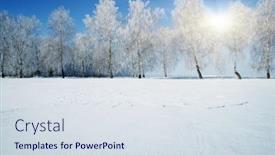  Presentation with winter blue - Slide deck consisting of winter-landscape-snowcovered-fields background and a sky blue colored foreground