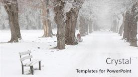  Presentation with winter - Slide set featuring winter-landscape-snowy-winter-trees background and a white colored foreground