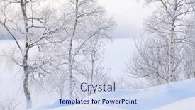  Presentation with frozen - Slide set featuring winter-landscape-the-frozen-shores background and a sky blue colored foreground