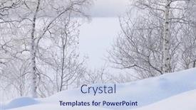  Presentation with frozen - PPT theme having winter-landscape-the-frozen-shores background and a sky blue colored foreground