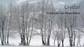  Presentation with snow mountain - Colorful presentation enhanced with winter-landscape-trees-under-snow backdrop and a light gray colored foreground