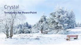  Presentation with snow - Theme consisting of winter-landscape-winter-trees-covered background and a sky blue colored foreground