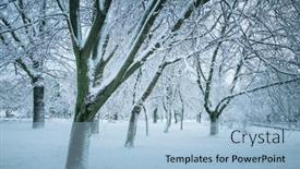  Presentation with winter weather - PPT theme enhanced with winter-landscape-winter-trees-covered background and a light blue colored foreground