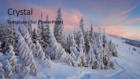  Presentation with winter forest night - Slide deck consisting of nautre - deeply frozen night flowers in background and a black colored foreground.