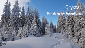  Presentation with pine forest - Slide set having winter landscape with a path in the snow frosty day in a mountain valley with pine forest background and a teal colored foreground