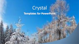  Presentation with woods - Audience pleasing presentation consisting of path in the snow leading backdrop and a teal colored foreground