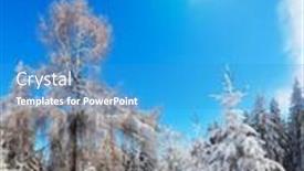  Presentation with woods - Cool new presentation theme with path in the snow leading backdrop and a teal colored foreground