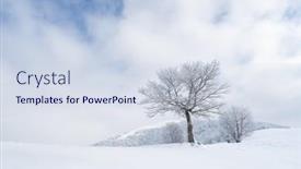  Presentation with winter landscape winter tree - PPT theme featuring winter-landscape-with-a-tree background and a sky blue colored foreground
