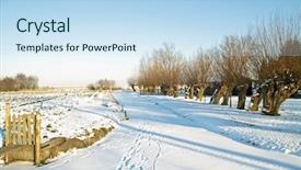  Presentation with winter landscape winter tree - Amazing slide set having winter landscape with cropped willow backdrop and a sky blue colored foreground