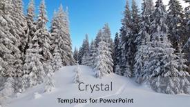  Presentation with snow mountain - Amazing presentation theme having winter landscape with forest trail in the snow frosty day in a mountain valley carpathian mountains ukraine europe backdrop and a light gray colored foreground