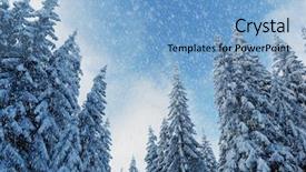  Presentation with trees - Beautiful slides featuring winter landscape with fur-trees and fresh snow ukraine carpathians backdrop and a light blue colored foreground