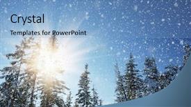  Presentation with winter and trees - Amazing PPT theme having winter landscape with fur-trees backdrop and a light blue colored foreground