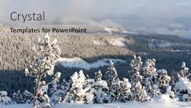  Presentation with pine trees - Presentation design featuring winter-landscape-with-pine-trees background and a light gray colored foreground