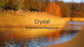  Presentation with landscape - Presentation theme having winter-landscape-with-reed background and a gold colored foreground