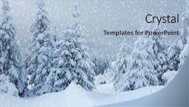  Presentation with winter scene - Slide deck consisting of nature photographer taking pictures with digital camera gran paradiso national park italy background and a dark gray colored foreground