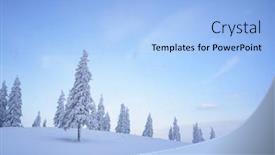 Presentation with trees - Slides enhanced with winter-landscape-with-snowy-fir background and a light blue colored foreground