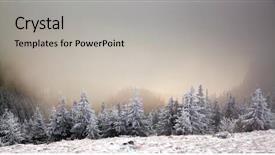  Presentation with trees - Slides enhanced with winter landscape with snowy fir background and a light gray colored foreground