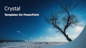  Presentation with winter landscape winter tree - 