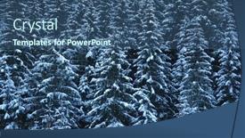  Presentation with winter weather - Audience pleasing PPT layouts consisting of winter-large-spruces backdrop and a ocean colored foreground
