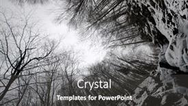  Presentation with snow tree - PPT theme enhanced with winter-large-trees-without-leaves background and a dark gray colored foreground