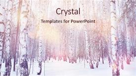  Presentation with winter forest - Slide deck featuring winter magic birch grove background and a lemonade colored foreground