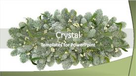  Presentation with snow covered trees and falling - Presentation having winter mistletoe and snow covered background and a  colored foreground