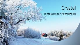  Presentation with winter road and branch - Cool new theme with winter morning in the mountains backdrop and a light blue colored foreground