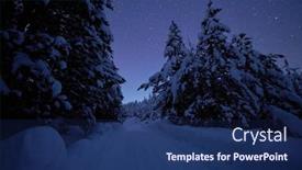  Presentation with winter forest night - Colorful PPT layouts enhanced with winter-night-landscape-nature-forest backdrop and a navy blue colored foreground