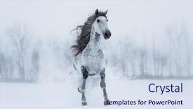  Presentation with landscape - Cool new presentation theme with winter overcast landscape with galloping backdrop and a sky blue colored foreground