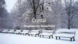  Presentation with snow - Beautiful PPT theme featuring winter-park-covered-with-fresh backdrop and a gray colored foreground