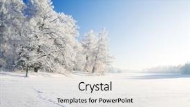  Presentation with snow - Presentation theme with winter park in snow background and a light gray colored foreground