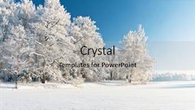  Presentation with branch - Beautiful slides featuring winter park in snow backdrop and a light gray colored foreground