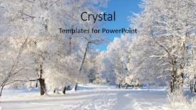  Presentation with winter scene - PPT theme having winter park in snow background and a light blue colored foreground
